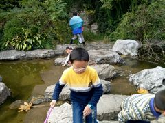 -吴淞炮台湾湿地森林公园烧烤区