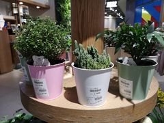 -鹿岛会员店 (龙湖三千集天街店)