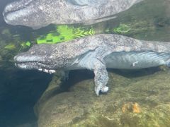 -珠海长隆海洋王国