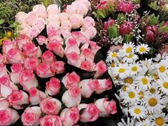-双季花艺园艺市场(浦东店)