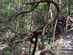 -七仙岭温泉国家森林公园