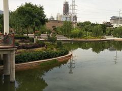 -雁滩公园