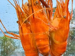 -品鲜村农家菜·阳澄湖大闸蟹(总店)