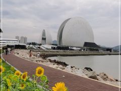 -野狸岛