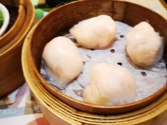 -添好运点心专门店(北角店)