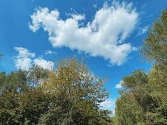 -长白岛森林公园