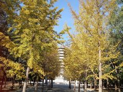 -古塔公园