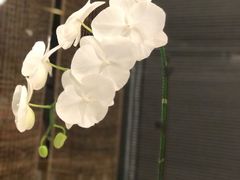 景观位-金井日本料理(丽柏广场店)