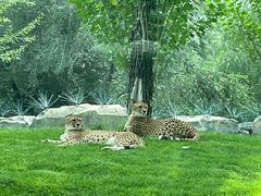 -北京野生动物园