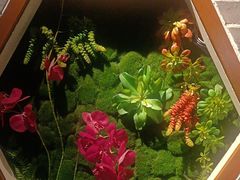 -野渡坡·极致湘菜·庭院餐厅(汉阳店)