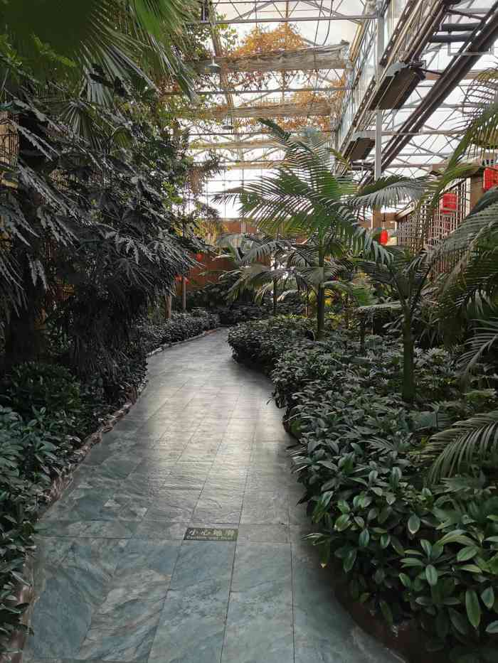 因为是在绿植园里所以环境还不错有点在天然氧吧吃饭