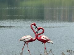 -白云湖畔酒店-湖畔餐厅