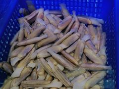 -悦海·家宴·冰花皮皮虾大锅贴(宝龙店)