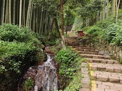 -莫干山风景区