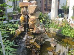 -水岸居湖景农家乐·阳澄湖大闸蟹