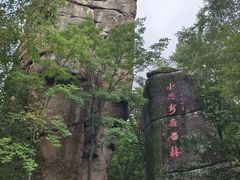 -汤旺河林海奇石景区