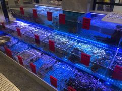 水产区-洲晓鲜·舟山海鲜大排档(朱家尖风景区店)
