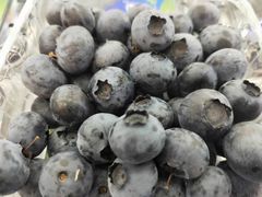 -雨露空间(嘉善施家店)