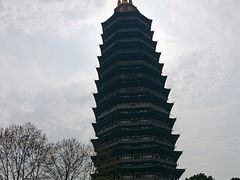 -红梅公园