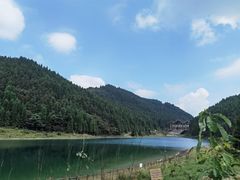 -武陵山森林公园