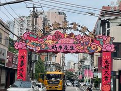 -溪岸路花鸟市场