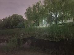 -苏州宝带桥国际大酒店自助餐厅
