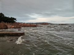 -八大关景区