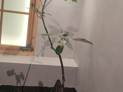 -本处·素食·融合料理(南油店)