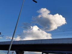 -肥猫烤翅·20年老字号(锦州道店)