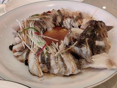 清蒸鲜鲈鱼-博雅渔港·融合菜(维也纳国际大酒店)