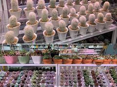 -KKV(深圳宏发大仟里店)