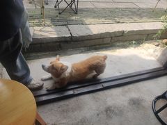 -鱼记咖啡馆