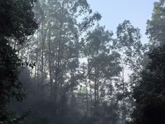 -火炉山森林公园