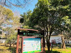 -上海佘山国家森林公园天马山园