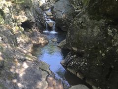 -祁门牯牛降观音堂风景区