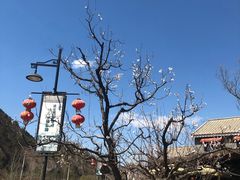 -老李客栈民宿餐厅