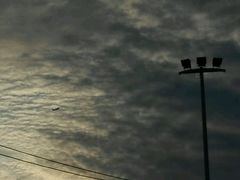 -红星兔丁(武侯祠店)