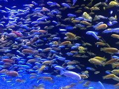 -成都浩海立方海洋公园