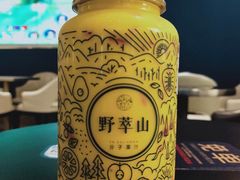 -野萃山·潮汕厚果汁(十亩地店)