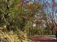 -敬亭山风景名胜区