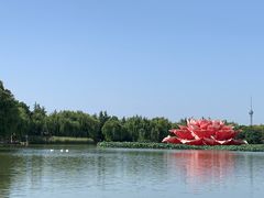 -洛阳市隋唐城遗址植物园