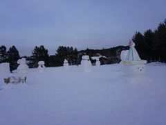 -北极村旅游风景区