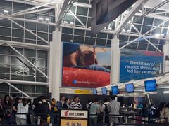 -约翰·菲茨杰拉德·肯尼迪国际机场