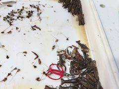 -独一道·邵伯龙虾土菜馆·烧烤(雨花西路店)