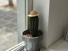 -收获咖啡HARVEST RESERVE(苍山店)