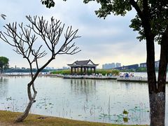 -松山湖风景区松湖烟雨