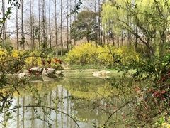 -新江湾城公园