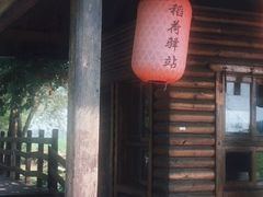 -西青郊野公园