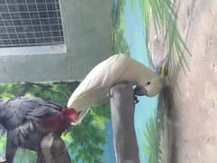 罗源湾海洋世界-福州罗源湾海洋世界旅游区