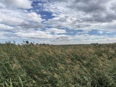 -敕勒川草原文化旅游区